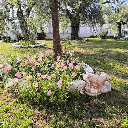 Appartement Anna Garden House