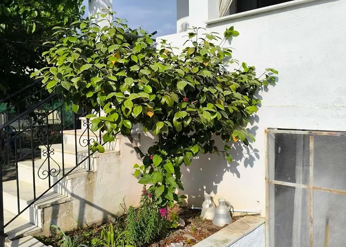 Anna Garden House Limenas (Thasos)